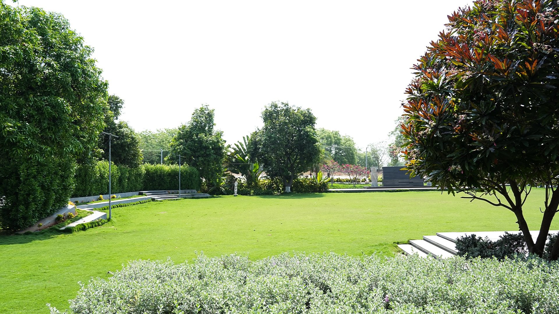 Pearl Lawn seen wide, deep green with a hedged perimeter